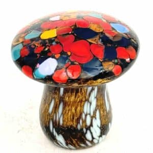 Red and Brown Magical Mushroom